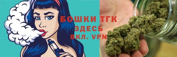 прущие крисы Болотное