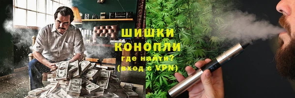 прущие крисы Болотное