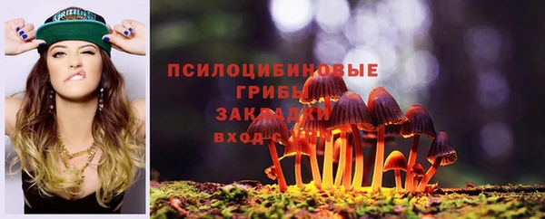 стаф Балахна