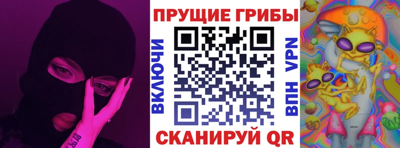 Галлюциногенные грибы Psilocybine cubensis  Ельня 